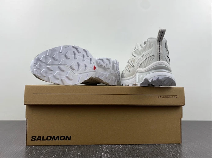 GoAnywhere Salomon XT-6 Expanse Vanilla Ice 417414 3618