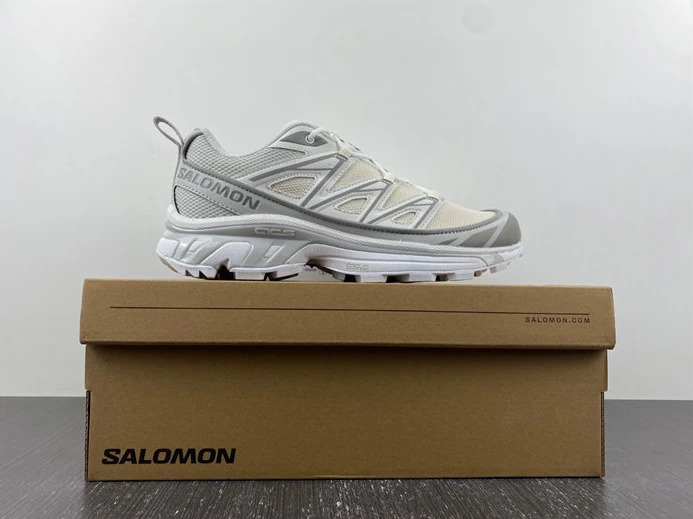 GoAnywhere Salomon XT-6 Expanse Vanilla Ice 417414 3618