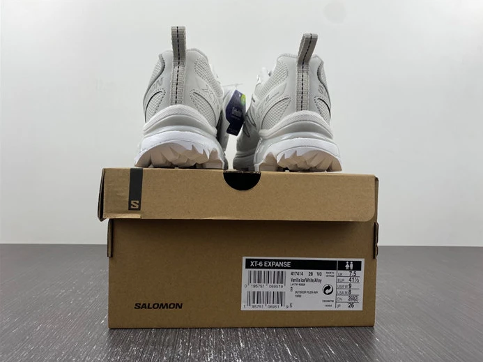 GoAnywhere Salomon XT-6 Expanse Vanilla Ice 417414 3618