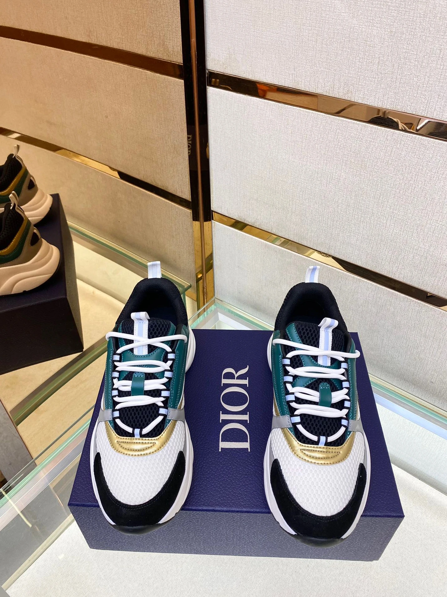 HighQuality Dior B22 13 1552