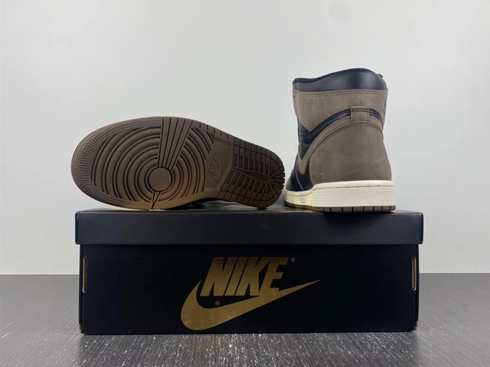 HighQuality Jordan 1 Retro High OG Palomino DZ5485-020 419
