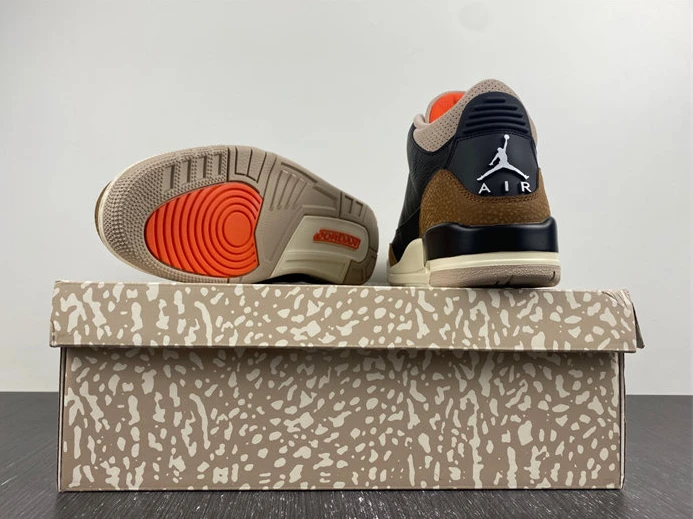 Jordan 3 Retro Desert Elephant CT8532-008 WellDesigned 734