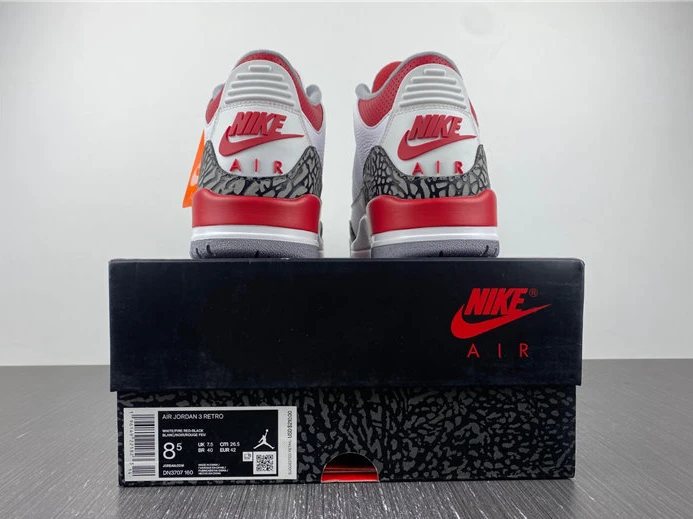 Jordan 3 Retro Fire Red  DN3707-160 GoAnywhere 738