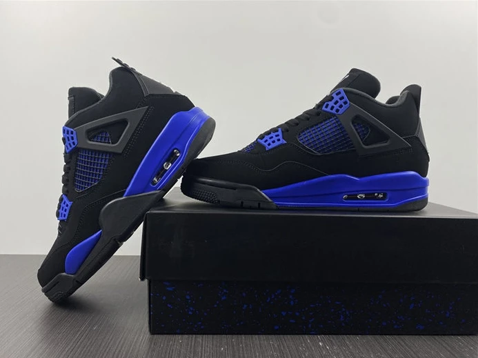 Jordan 4 Retro CT8527-018 DailyWear 871