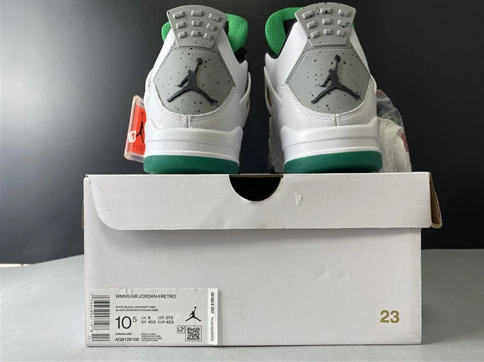 Jordan4 Lucid Green Rasta AQ9129-100 WellDesigned 887
