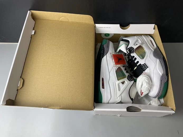 Jordan4 Lucid Green Rasta AQ9129-100 WellDesigned 887