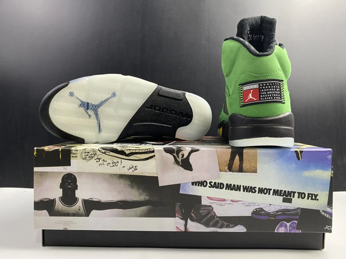 Jordan5 SE Oregon CK6631-307 WellDesigned 967