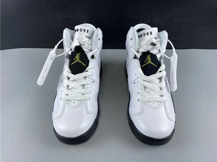 Jordan6 Alligator 384665-110 Trendy 1008
