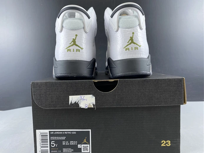 Jordan6 Alligator 384665-110 Trendy 1008