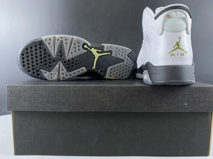 Jordan6 Alligator 384665-110 Trendy 1008