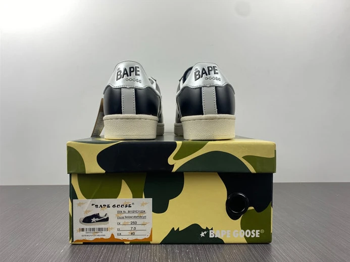 ModernLook 269 BAPE 2815