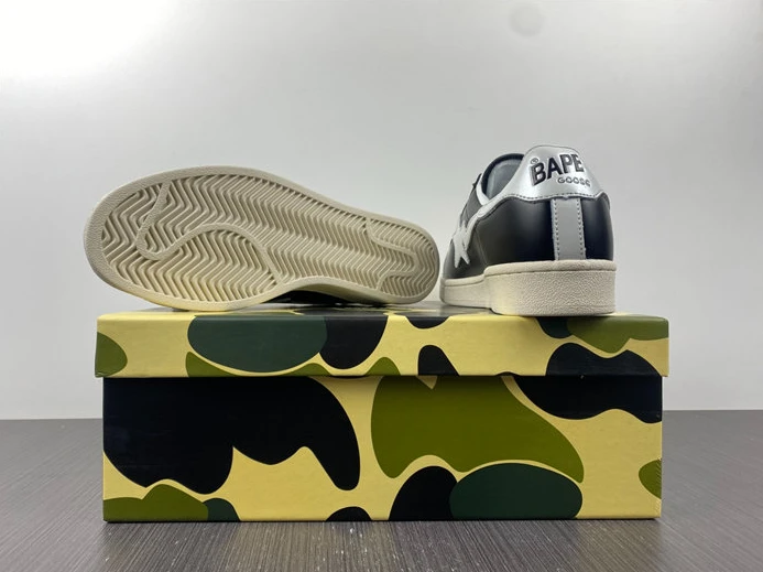 ModernLook 269 BAPE 2815