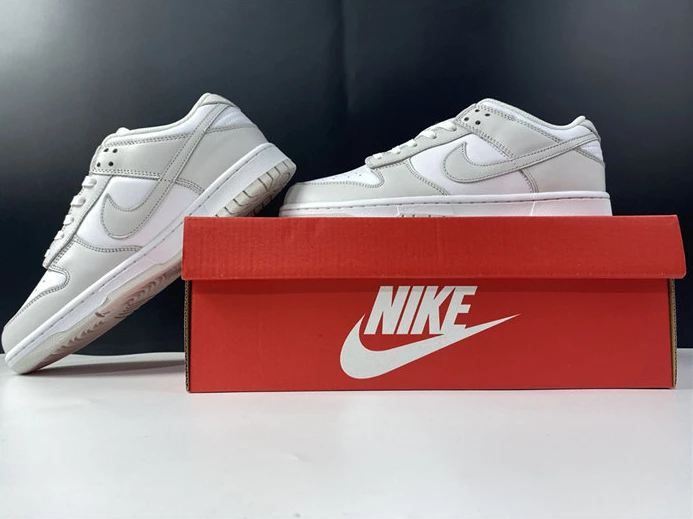ModernLook Nike Dunk Low Photon Dust DD1503-103 2106