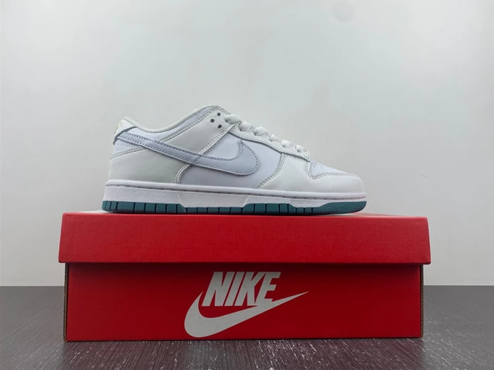 NIKE DUNK LOW 2023 FD9911-101 HighQuality 1811