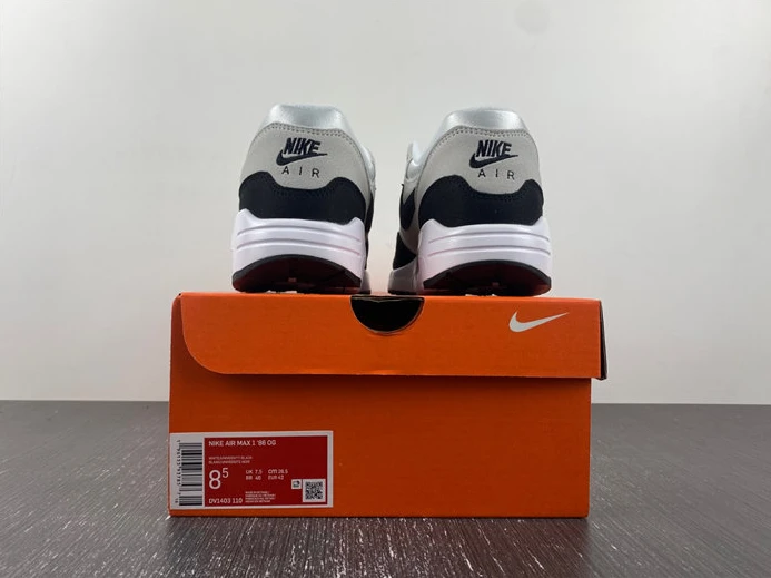 Nike Air Max 1 '86 OG G DV1403-110 StreetReady 2534