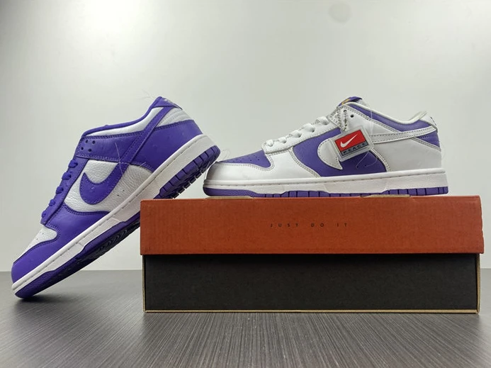 Nike Dunk Low Flip the Old School DJ4636-100 StreetReady 1939
