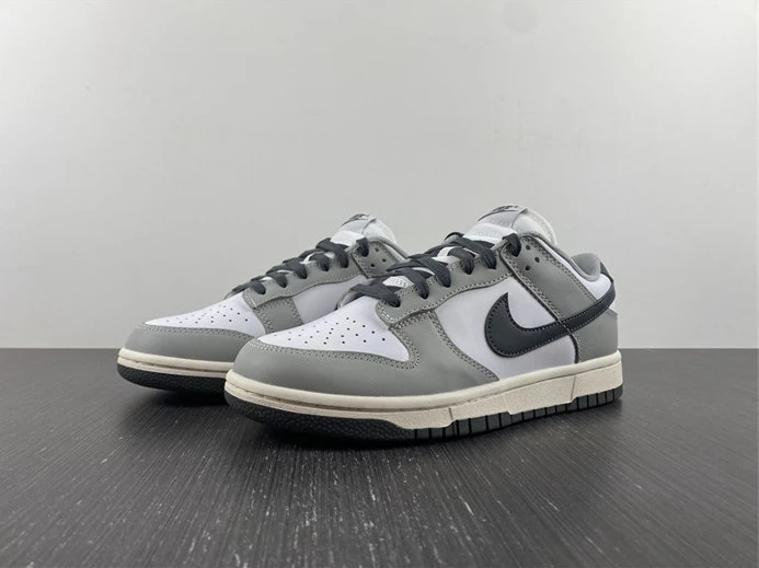 Nike Dunk Low Light Smoke Grey DD1503-117 DailyWear 2011