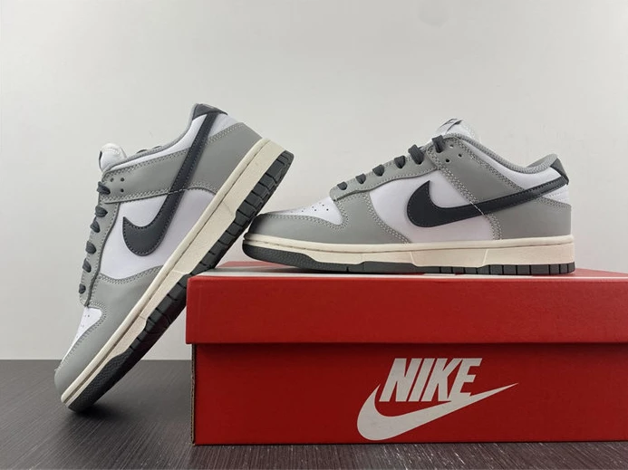 Nike Dunk Low Light Smoke Grey DD1503-117 DailyWear 2011
