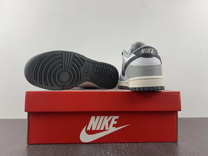 Nike Dunk Low Light Smoke Grey DD1503-117 DailyWear 2011