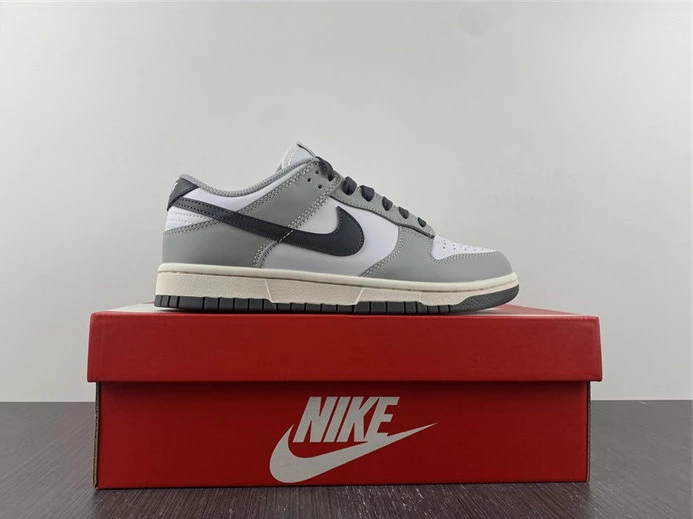 Nike Dunk Low Light Smoke Grey DD1503-117 DailyWear 2011
