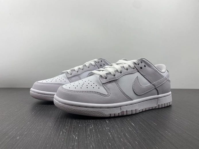 Nike Dunk Low Venice DD1503-116 GoAnywhere 2015