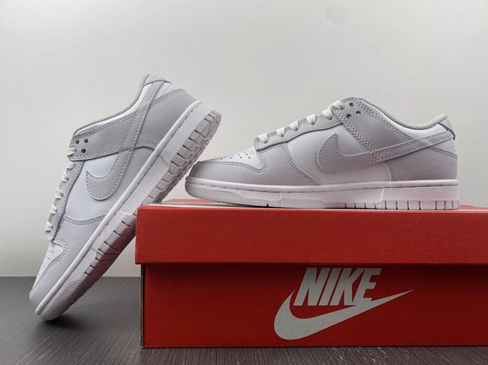 Nike Dunk Low Venice DD1503-116 GoAnywhere 2015