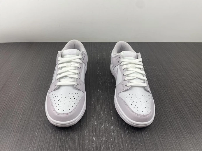 Nike Dunk Low Venice DD1503-116 GoAnywhere 2015