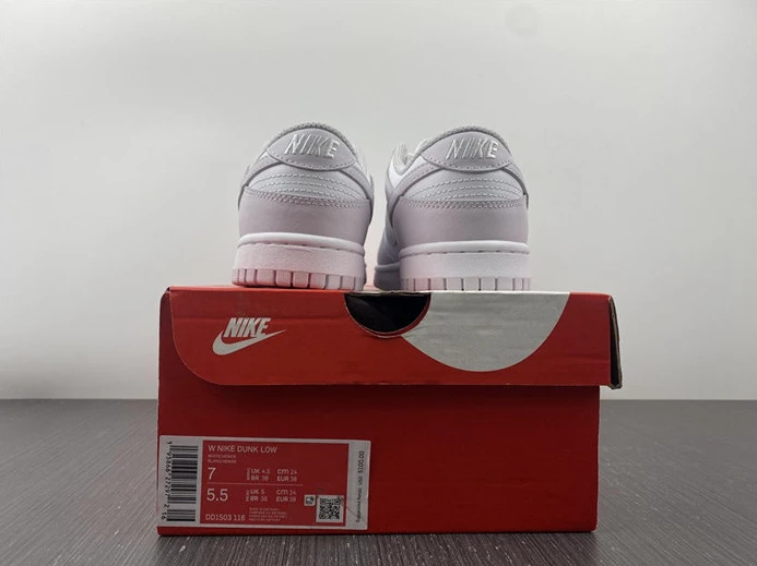 Nike Dunk Low Venice DD1503-116 GoAnywhere 2015