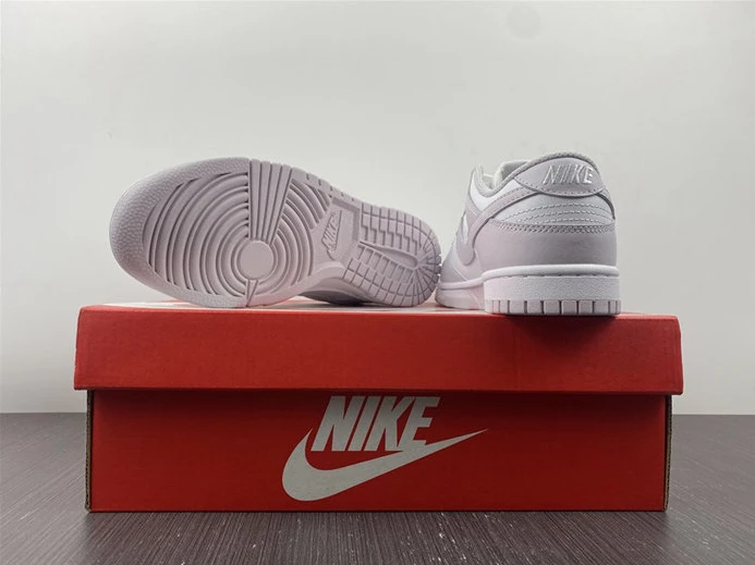 Nike Dunk Low Venice DD1503-116 GoAnywhere 2015
