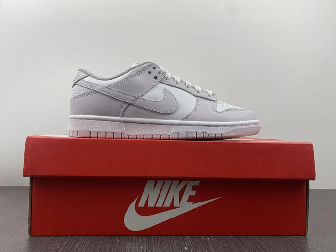 Nike Dunk Low Venice DD1503-116 GoAnywhere 2015