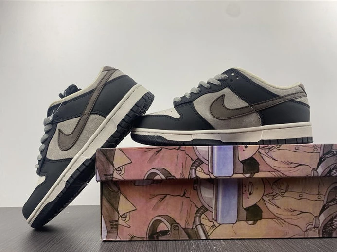 Nike SB Dunk LF0039-003 Popular 1861