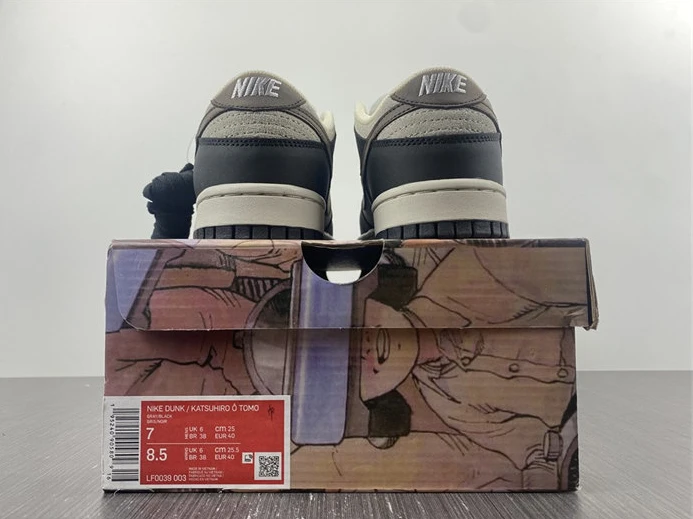 Nike SB Dunk LF0039-003 Popular 1861