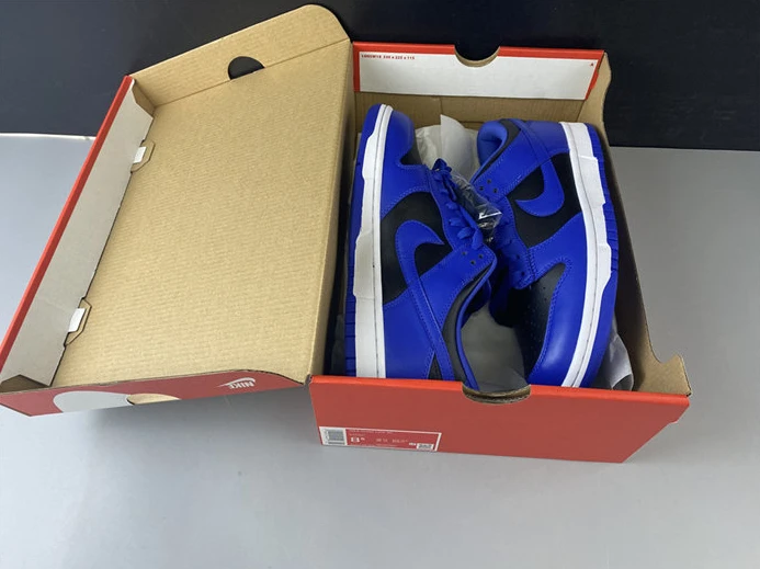 Nike SB Dunk Low CU1726-006 GoAnywhere 2148