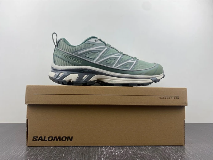 SmartChoice Salomon XT-6 47134 3613