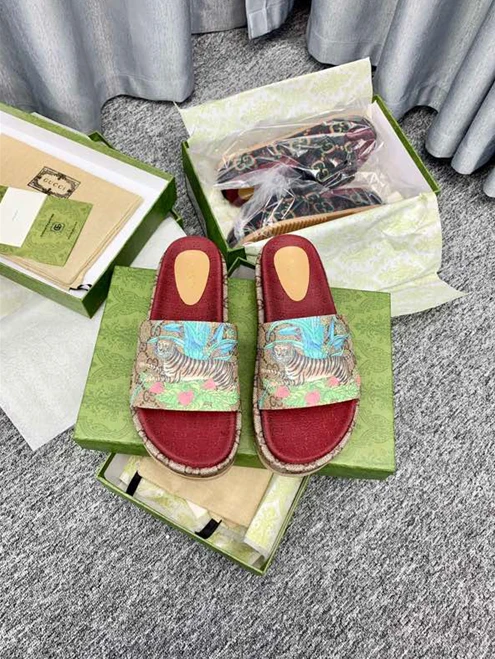 SportInspired 3842 Gucci Slipper 3245