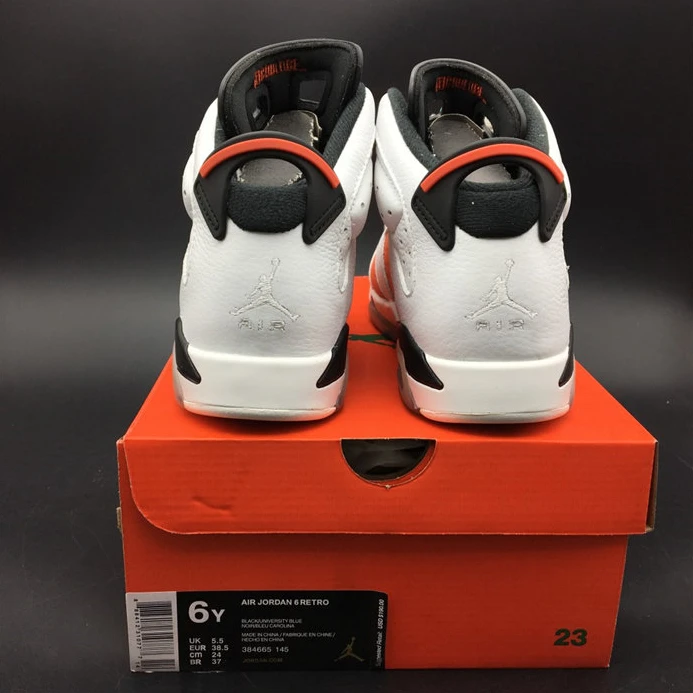 SportInspired Jordan6 Gatorade Like Mike White 384665-145 1018