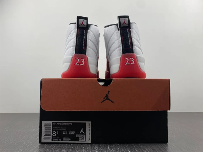 StreetReady 2460 Jordan 12 Retro Cherry CT8013- 1104