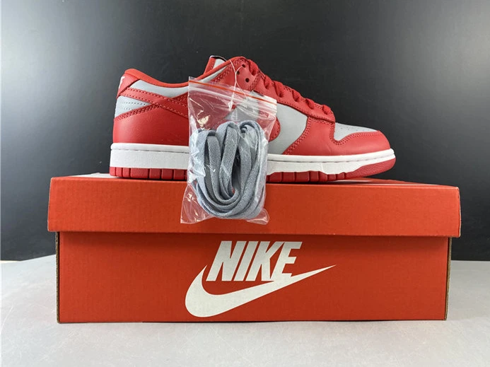 WellDesigned 5786 Nike Dunk Low SB CU1726- 2140
