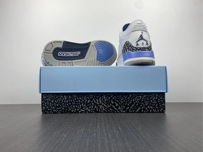 WellDesigned Jordan3 UNC CT8532-104 748