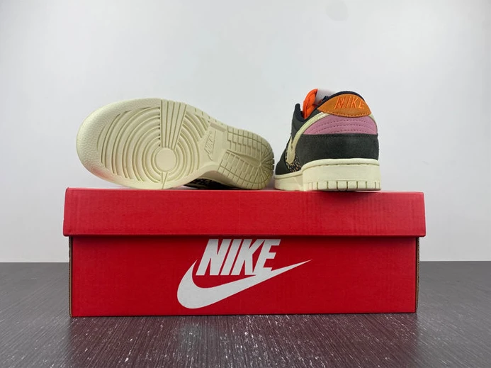 WellDesigned Nike Dunk Low Rainbow Trout FH7523 300 1834