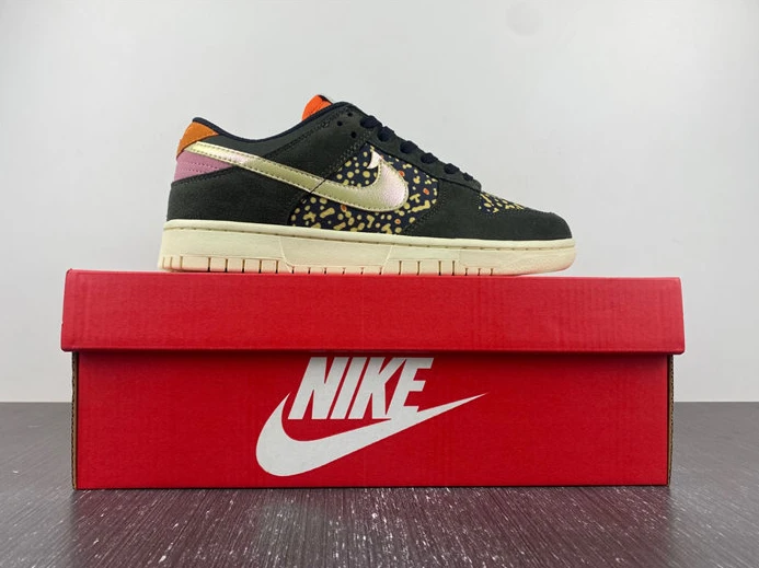 WellDesigned Nike Dunk Low Rainbow Trout FH7523 300 1834