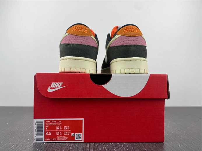 WellDesigned Nike Dunk Low Rainbow Trout FH7523 300 1834