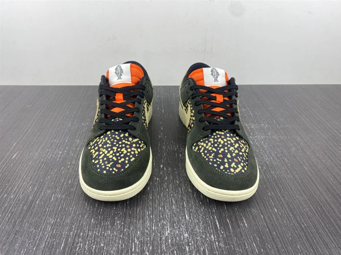 WellDesigned Nike Dunk Low Rainbow Trout FH7523 300 1834