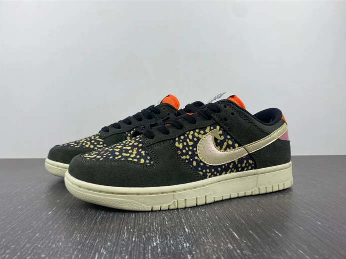 WellDesigned Nike Dunk Low Rainbow Trout FH7523 300 1834