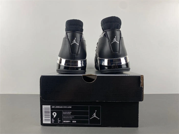 Cheap Affordable Air Jordan 17 OG  303891- Minimalist 4192