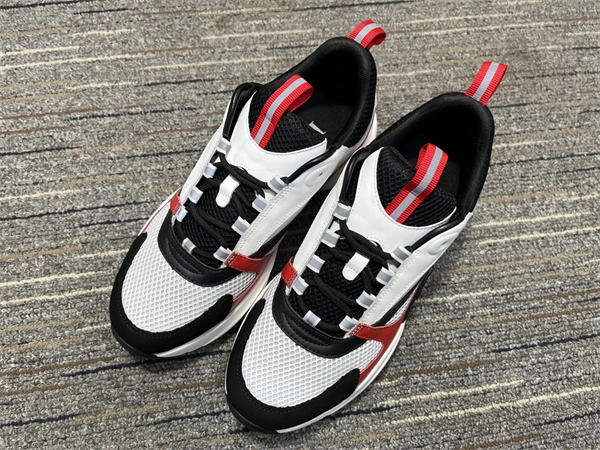 Rep Husky Dior B WellDesigned 1311