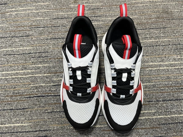 Rep Husky Dior B WellDesigned 1311