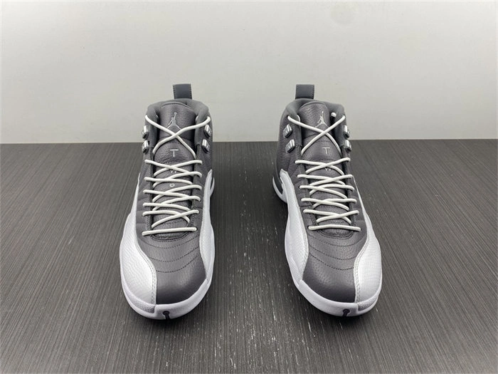 HYPE Jordan 12 STEALTH CT8025- Sleek 4144