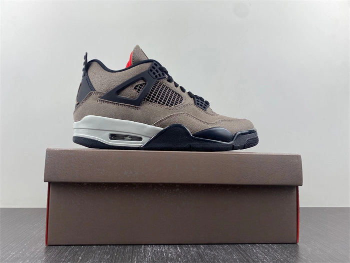 Affordable Jordan 4 Retro Taupe Haze DB0732- Bright 3856