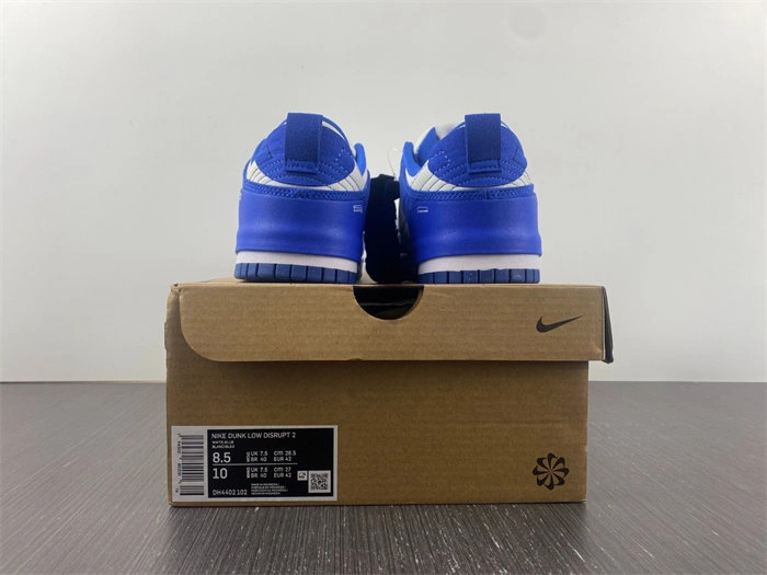 Rep Functional Nike Dunk Low Disrupt 2 White University Blue DH4402- 4762